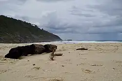Blueys Beach