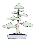 Upright or chokkan style