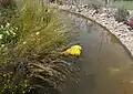 A life jacket floats in the water at the UNHCR Border Control garden, 2016's Best Conceptual Garden[4]