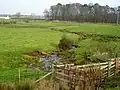 Brackenrig Burn