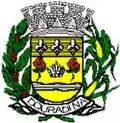 Official seal of Douradina