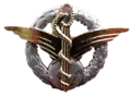Air Force Flight Nurse