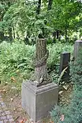 Broken tree motif