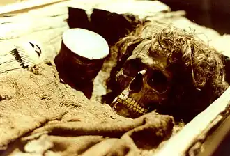 Borum Eshøj log-coffin burial, Denmark, c. 1350 BC