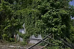 Bryant's Grocery (2018). By 2018, the store was described as "not much left" and given owner's demands, no preservation occurred.[246]
