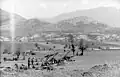 A battery of 15 cm sFH 37(t) in German service, Greece, 1941