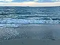 Queensland Beach, looking east (2022).