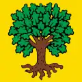 Flag of Échallens