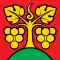 Flag of Bühl bei Aarberg