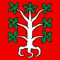 Flag of Entlebuch