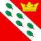 Flag of Herzogenbuchsee
