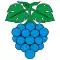 Flag of Wynau