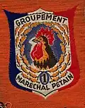 Insignia of CJF 1 - Team 5.