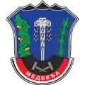 Coat of Arms of Medveđa