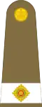 Officer cadet