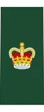 Insignia of a warrant officer