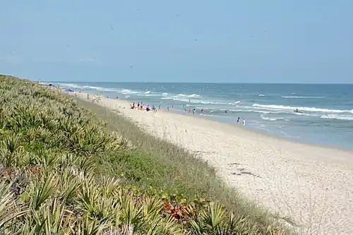 Looking north, in the southern part of the seashore