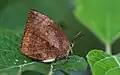 In Kerala, India