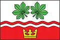 Flag of Cetyně