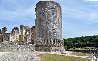 Ruins of the chateau