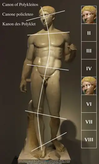 Diagram S-curve form of Doryphoros by Polykleitos