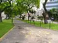 Bike path in the avenue