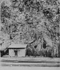 The Clifton Cliff Jail, sometime before it closed in 1906