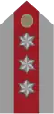Coronel Ejército EB Pecho