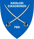 5th Cavalry Squadron