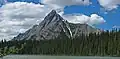 Cone Mountain