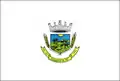 Flag of Southern Coconut Trees