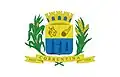 Flag of Correntina