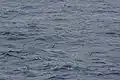 A group 200 nm east of Madeira