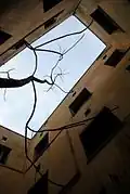 View from inside the small courtyard of the occupied building.