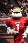 Crusher the Mascot