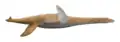 Cryptoclidus eurymerus