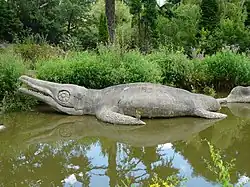 The Ichthyosaurus