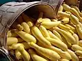 Yellow straight squashes