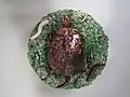 Wall plate, 11 in, coloured glazes, Palissy style