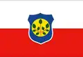 Flag of Cumaru