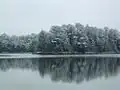 Cumberland Pond in Winter