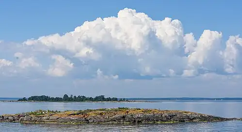 Rödlöga July 2014