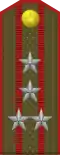 Captain commander