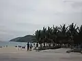 The seaside scenery.