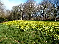 Cassiobury Park