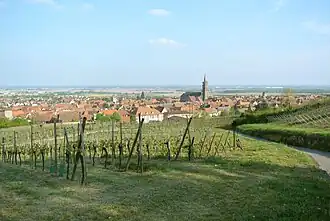 Panorama of Dambach-la-Ville, seen towards southeast and the plain
