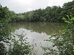 Darland's Lake