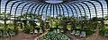 Inside the Rose Dome