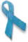 Blue denim ribbon