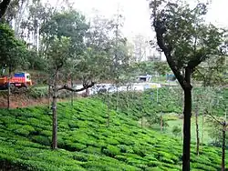 Devarshola Road